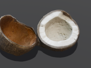 Coconut Modelo 3D