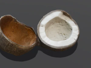Coconut 3D Model