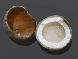 Coconut Modelo 3D
