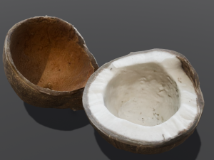 Coconut Modelo 3D