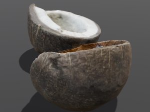 Coconut Modelo 3D