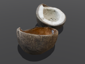 Coconut Modelo 3D