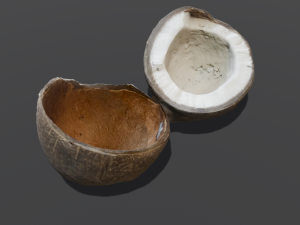 Coconut Modelo 3D