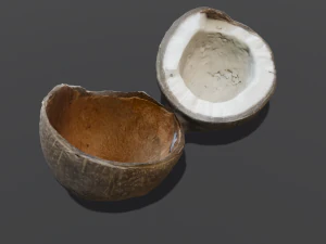 Coconut 3D Model