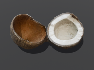 Coconut Modelo 3D