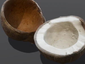 Coconut 3D Model