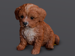 Brown Dog 3D Model