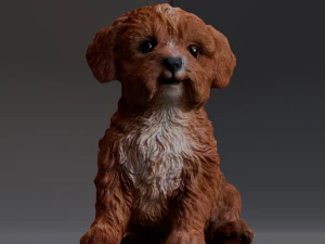 Brown Dog 3D Model