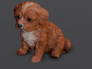 Brown Dog 3D 模型