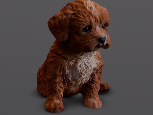 Brown Dog 3D 模型