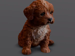 Brown Dog 3D Model