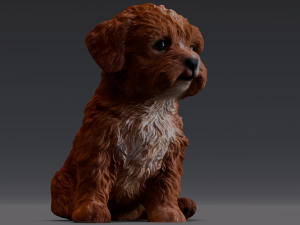 Brown Dog 3D 模型