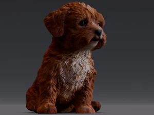 Brown Dog 3D Model