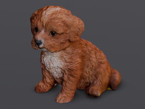 Brown Dog 3D 模型