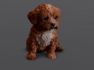 Brown Dog 3D Model