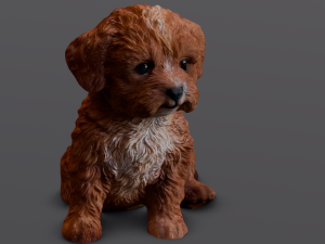 Brown Dog 3D 模型