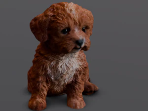 Brown Dog 3D Model