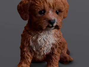 Brown Dog 3D Model