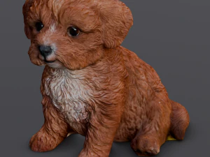 Brown Dog 3D Model