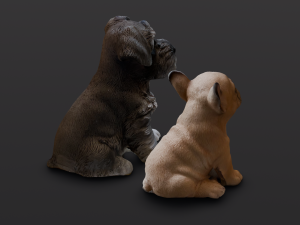 2 Dog Model 3D
