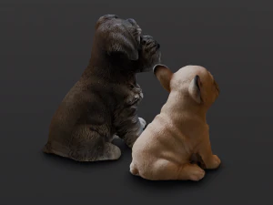 2 Dog 3D Model