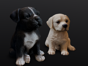 2 Dogs 3Dモデル