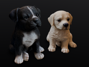 2 Dogs 3Dモデル