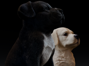 2 Dogs 3Dモデル