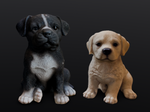 2 Dogs 3Dモデル