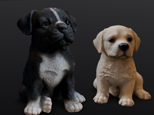2 Dogs 3Dモデル
