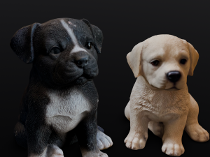 2 Dogs 3Dモデル