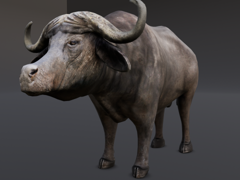 Buffalo 3D मॉडल