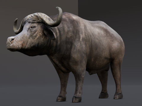 Buffalo Modello 3D