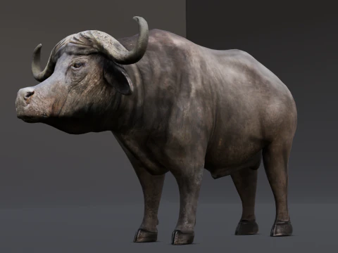 Buffalo 3D Model