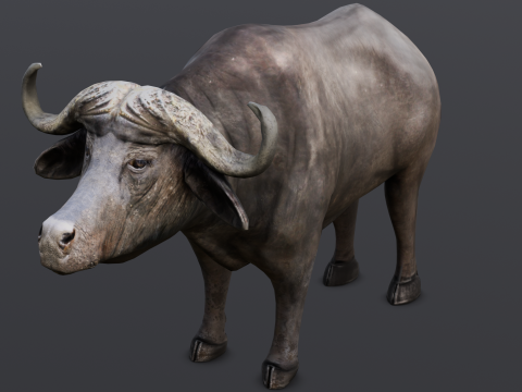 Buffalo Modello 3D