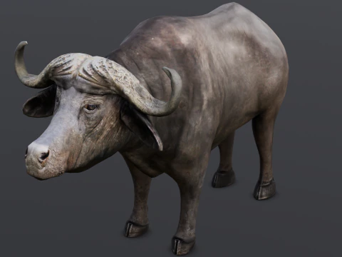Buffalo 3D Model