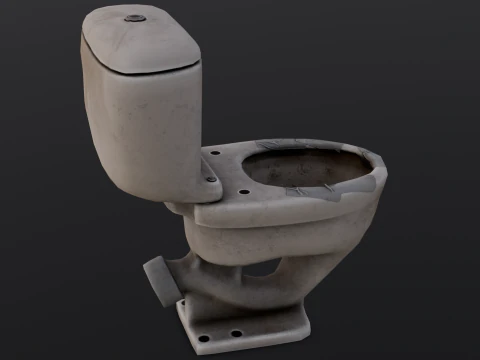 Dirty Toilet 3D Model