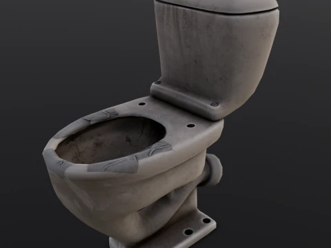 Dirty Toilet 3D Model