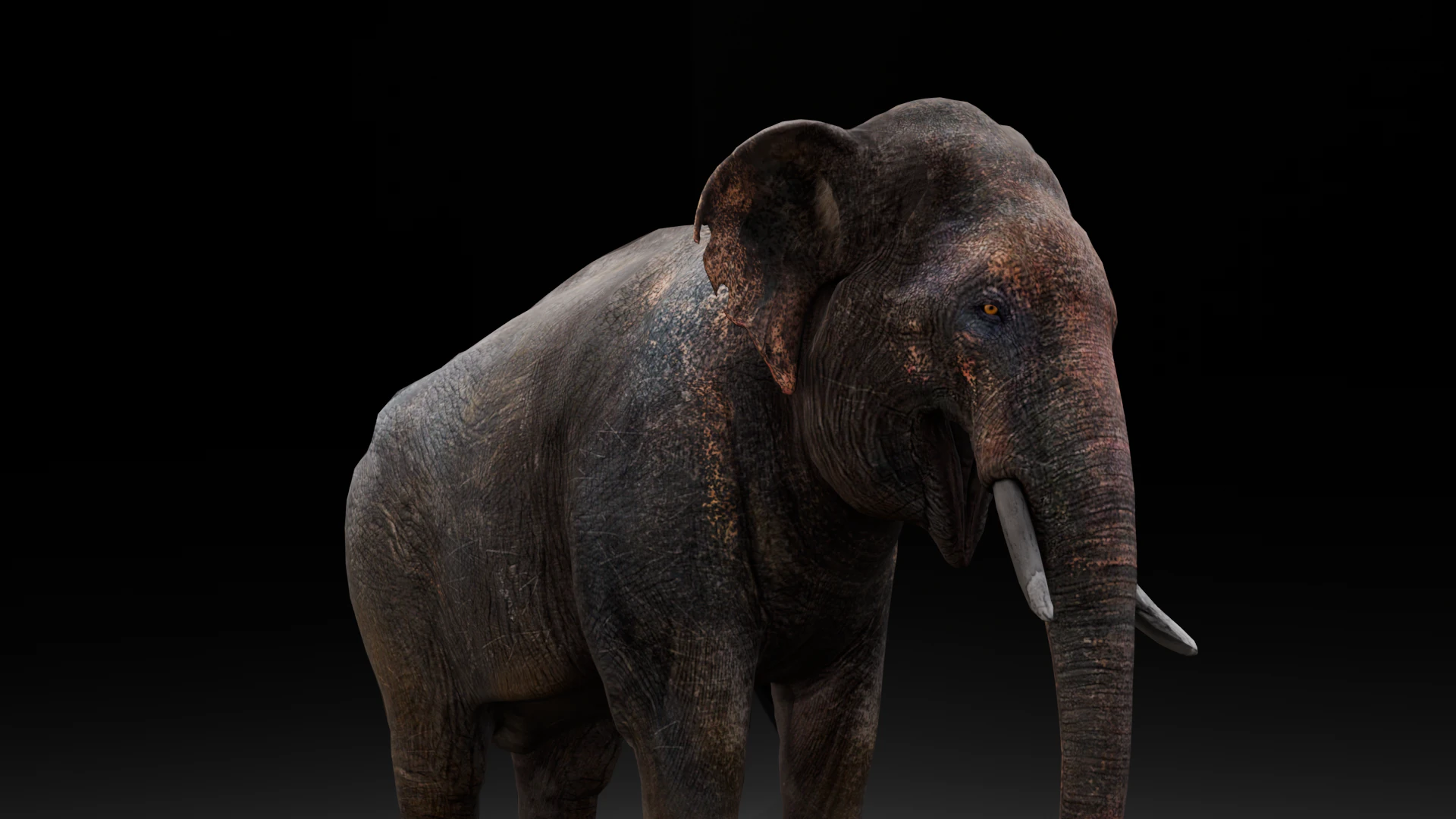 Elefante Modello 3D .c4d .max .obj .3ds .fbx .stl .blend
