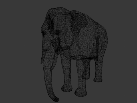 Elephant Model 3D