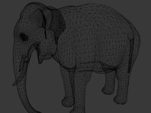 Elephant Model 3D