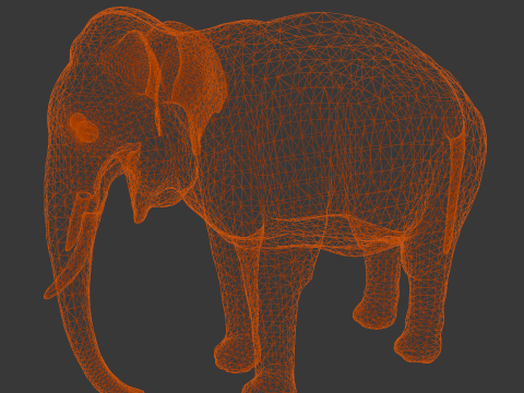 Elephant Model 3D