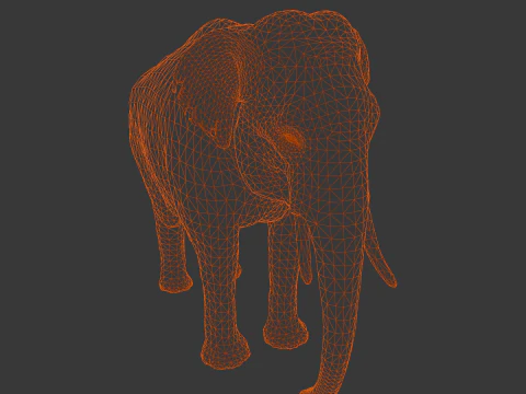 Elefante Modello 3D