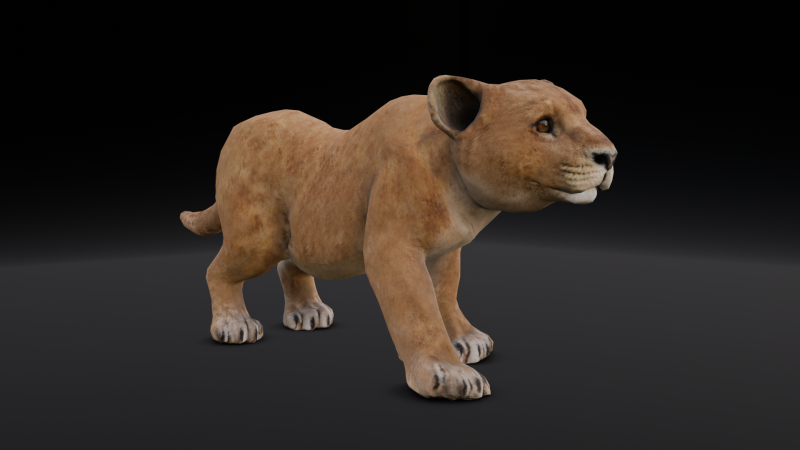 Baby Lion Animated 3D 모델 .c4d .max .obj .3ds .fbx .stl .blend 