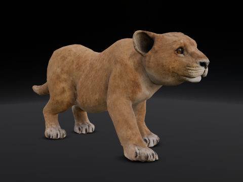 Baby Lion Animated 3D Модель