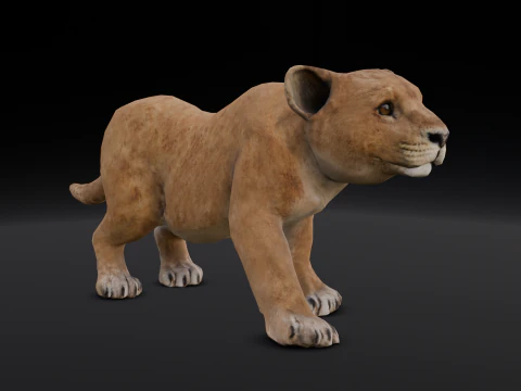 Cucciolo di leone animato Modello 3D