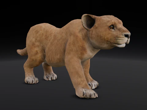 Baby Lion Animated 3D Model