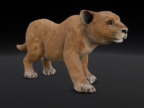 Baby Lion Animated 3D Model