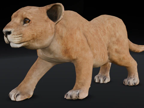 Baby Lion Animated 3D Model