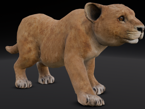 Baby Lion Animated 3D 모델